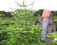 nordmanntrees016