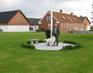 nordmanntrees020