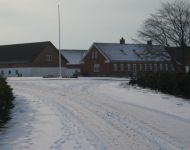 nordmanntrees019